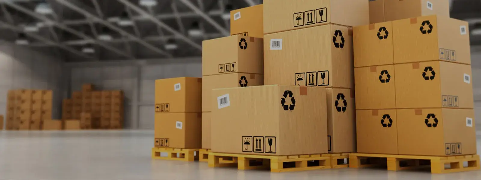 Sustainable Packaging Solutions