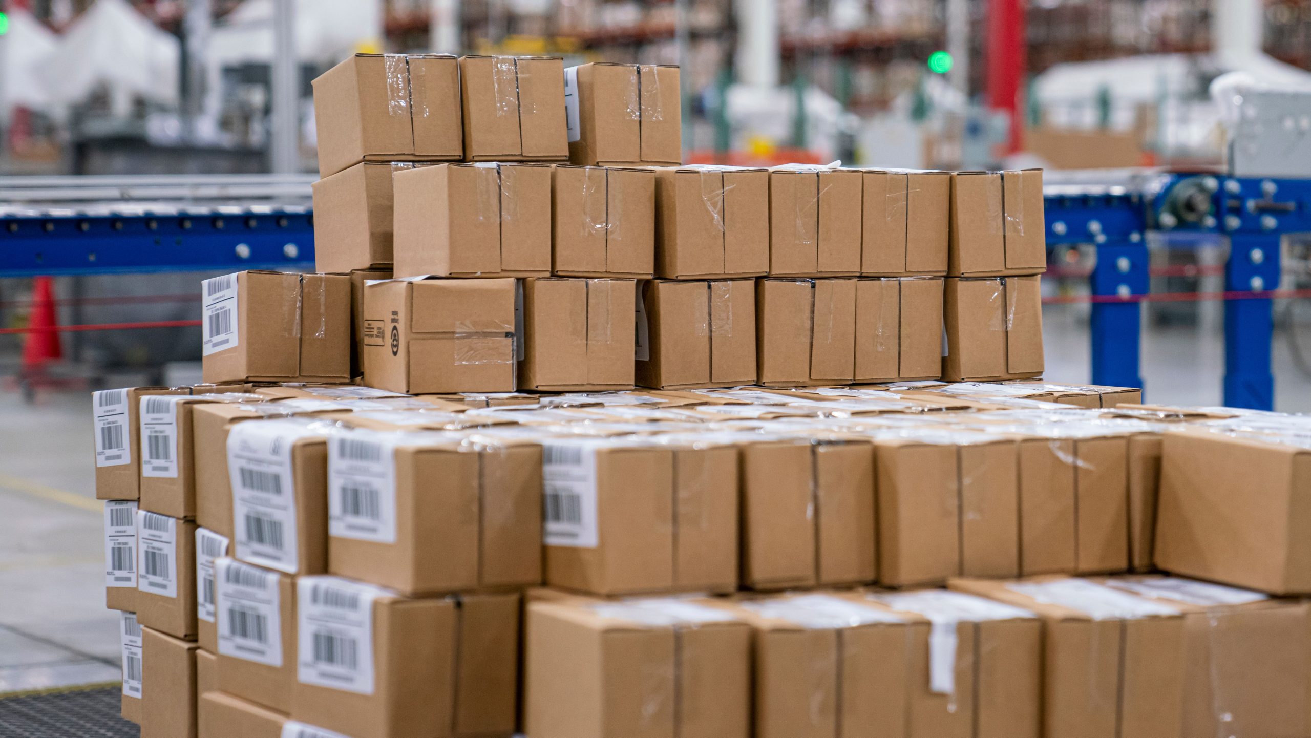 Sustainable Packaging Solutions